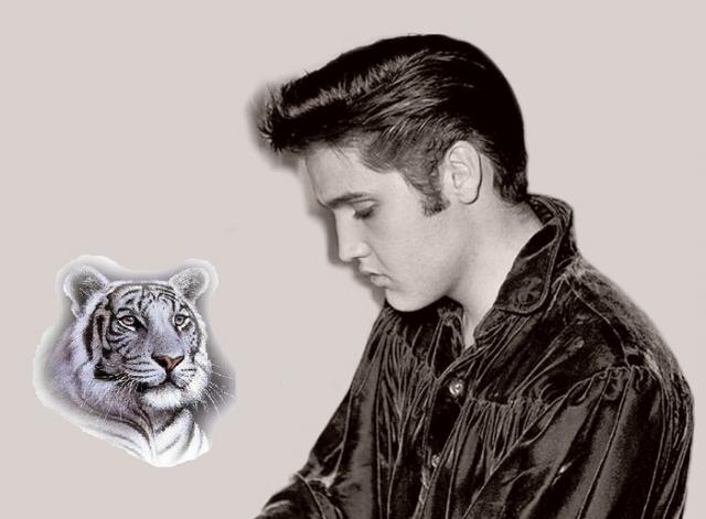 Elvis5.jpg
