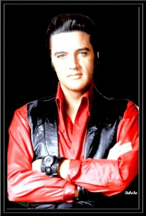 Elvis 3.jpg